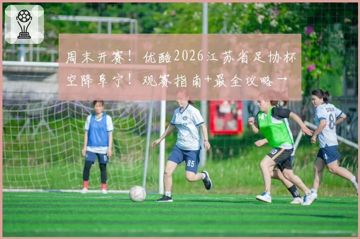 周末开赛！优酷2026江苏省足协杯空降阜宁！观赛指南+最全攻略→